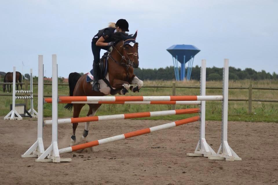 Pinto Felecia [STJERNEN] <3 - SIG HVAD I VIL 
HUN SPRINGER HVAD HUN BLIVER SAT TIL ! <3  billede 4