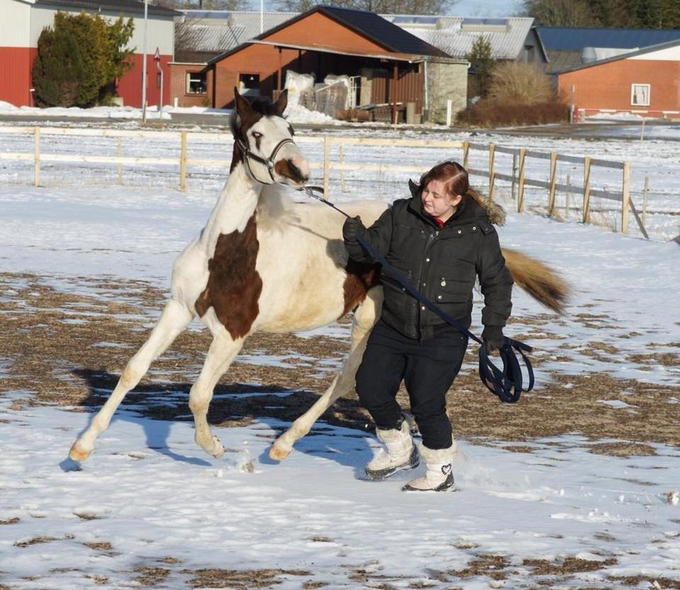 Pinto Graversgaards Chapeau - D. 27. Marts 2013, Prinsessen med ude på banen, hvilket er farligt når man er skilt fra resten af flokken :D billede 34
