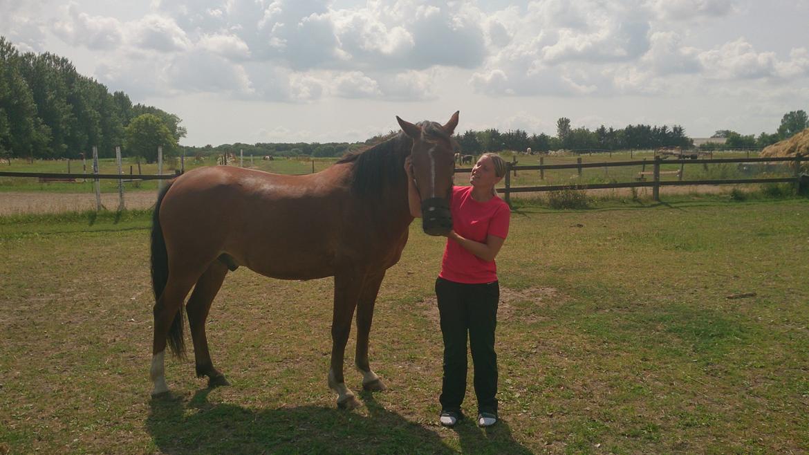 New Forest Zachos Charlie - Da han var taget i opløbet til forfangenhed også derfor han gik med mundkurv men nu er alt som det skal være og ingen men efter det :) 2013 billede 23