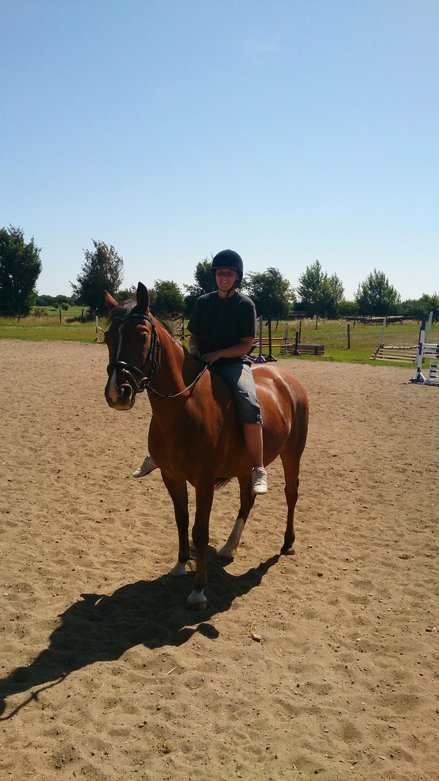 New Forest Zachos Charlie - Hygge på banen 2013 billede 25