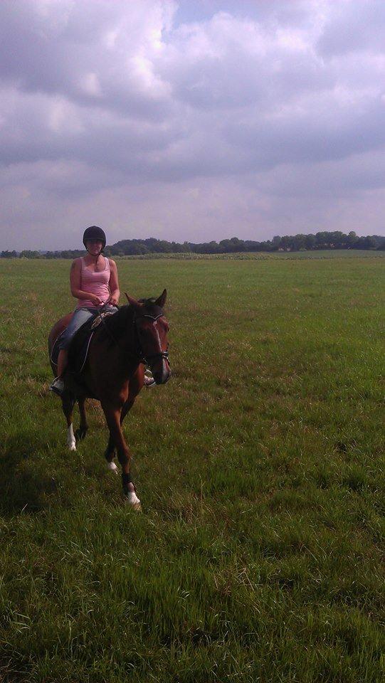 New Forest Zachos Charlie - 2 gang vi var en tur rundt om Bygholm sø sammen med Sabrina og Diablo :) 2013 billede 27