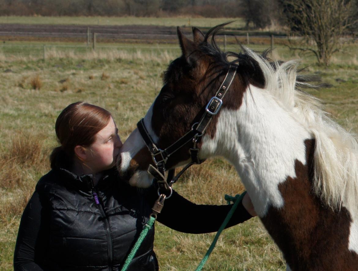 Pinto Graversgaards Chapeau - 20. April 2013, på folden :D  billede 26