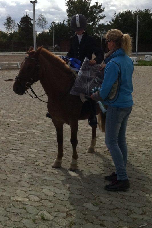 DSP BJERGETS FOX - Hvis Gud kiggede ned på jorden og så en pony som dig, ville han smile sødt ,sætte sig fornøjet tilbage og tænke: hvilken skøn verden jeg har skabt.<3 billede 5