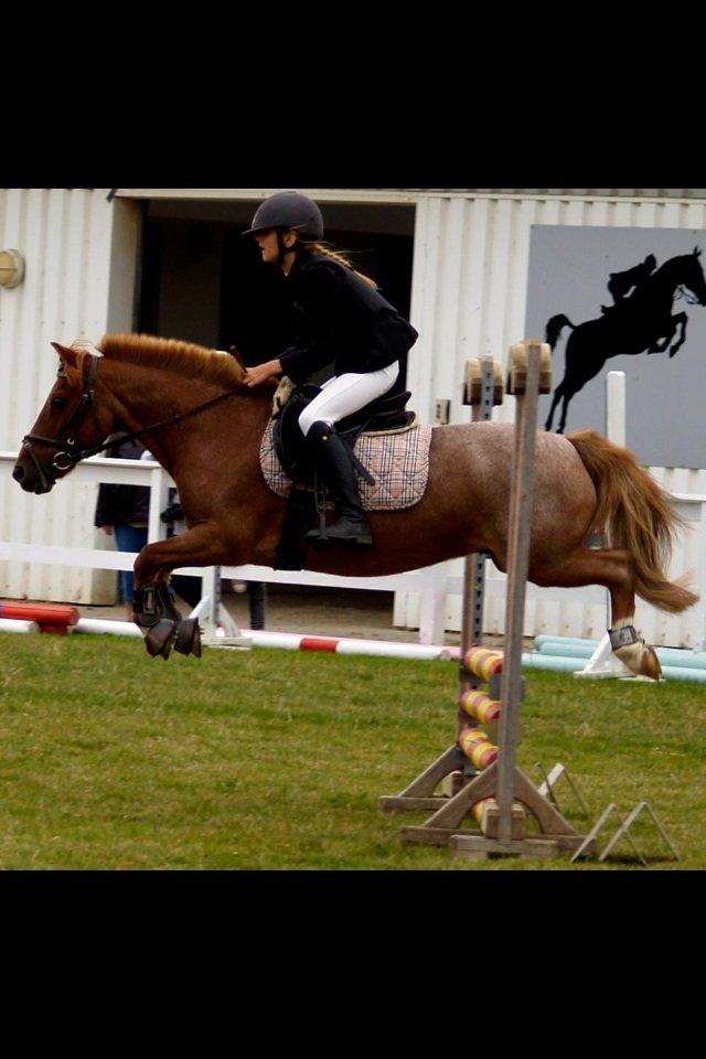 DSP BJERGETS FOX - Jeg er dårlig til matematik, men jeg ved at du kan regne med mig. Jeg er dårlig til geografi men jeg kan fortælle dig at du har en plads i mit hjerte!<3 billede 2