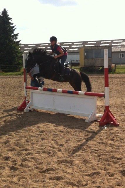 Anden særlig race Isabell <3 billede 15