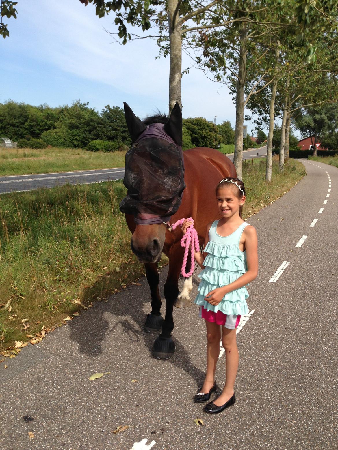 Oldenborg Hornbeck'S Duche billede 11