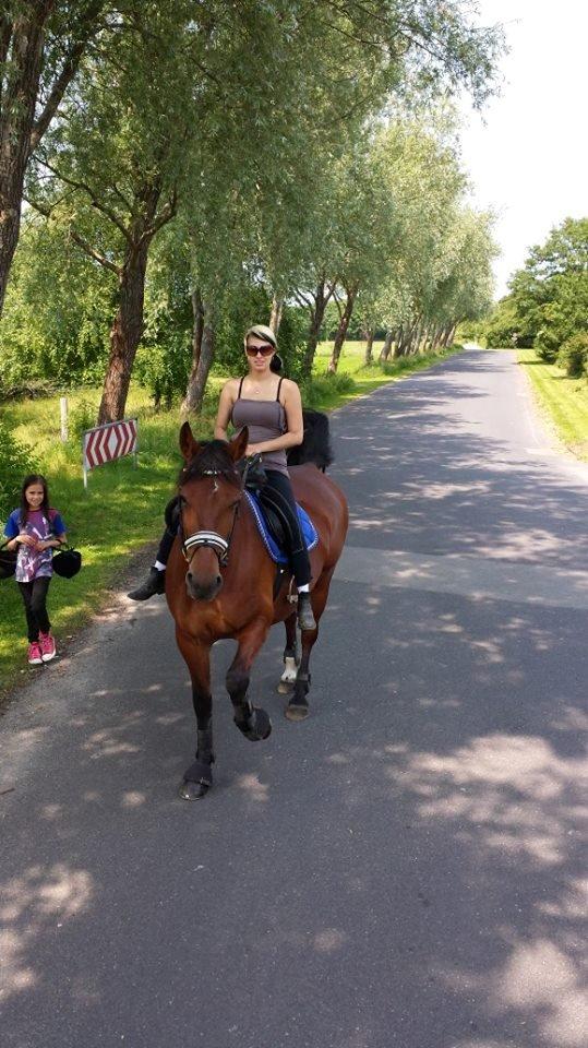 Oldenborg Hornbeck'S Duche billede 12