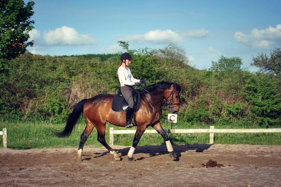 Oldenborg Carmen Elektra billede 3