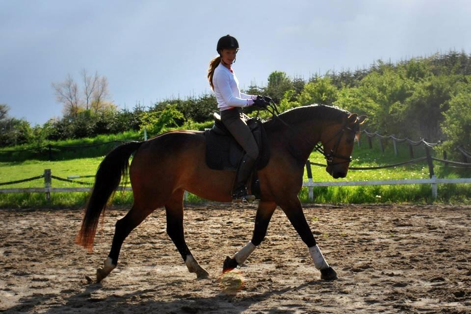 Oldenborg Carmen Elektra billede 17