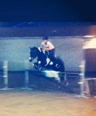 Anden særlig race Lundsbjergårds Indi billede 2