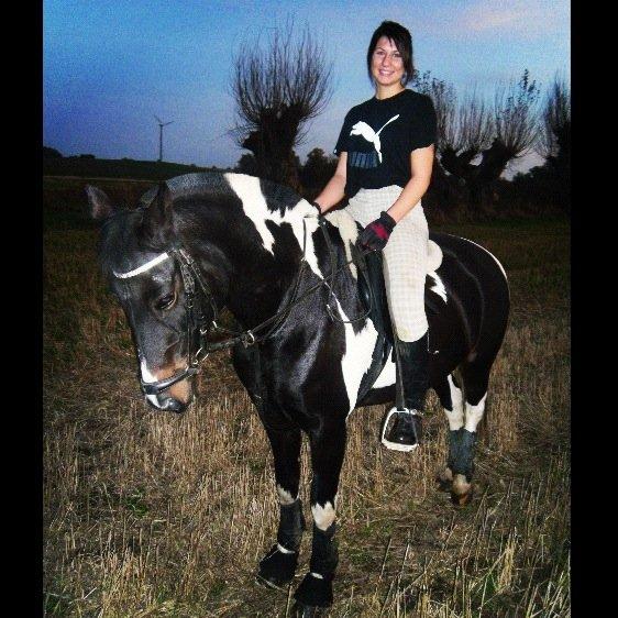 Anden særlig race Lundsbjergårds Indi billede 3