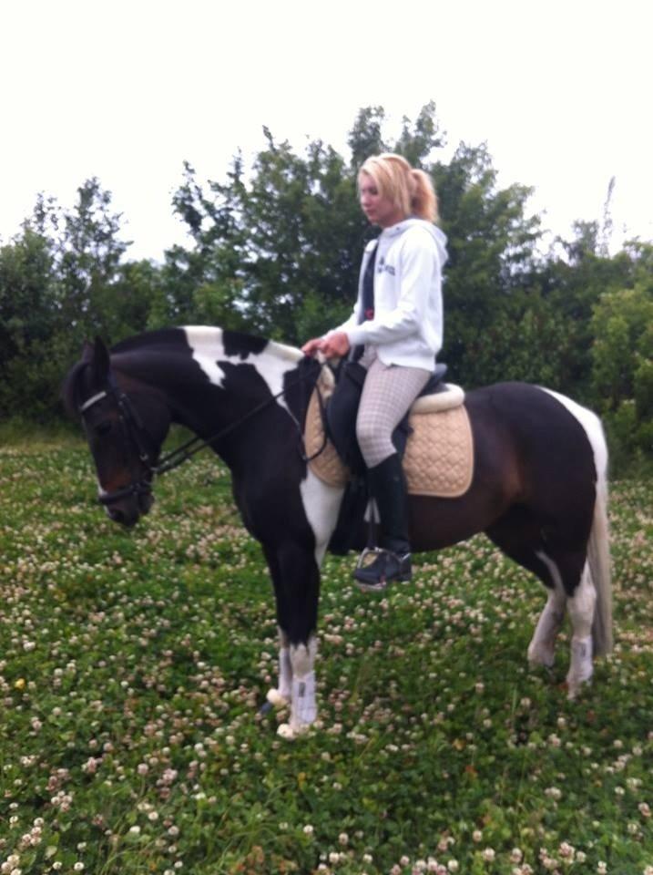 Anden særlig race Lundsbjergårds Indi billede 4