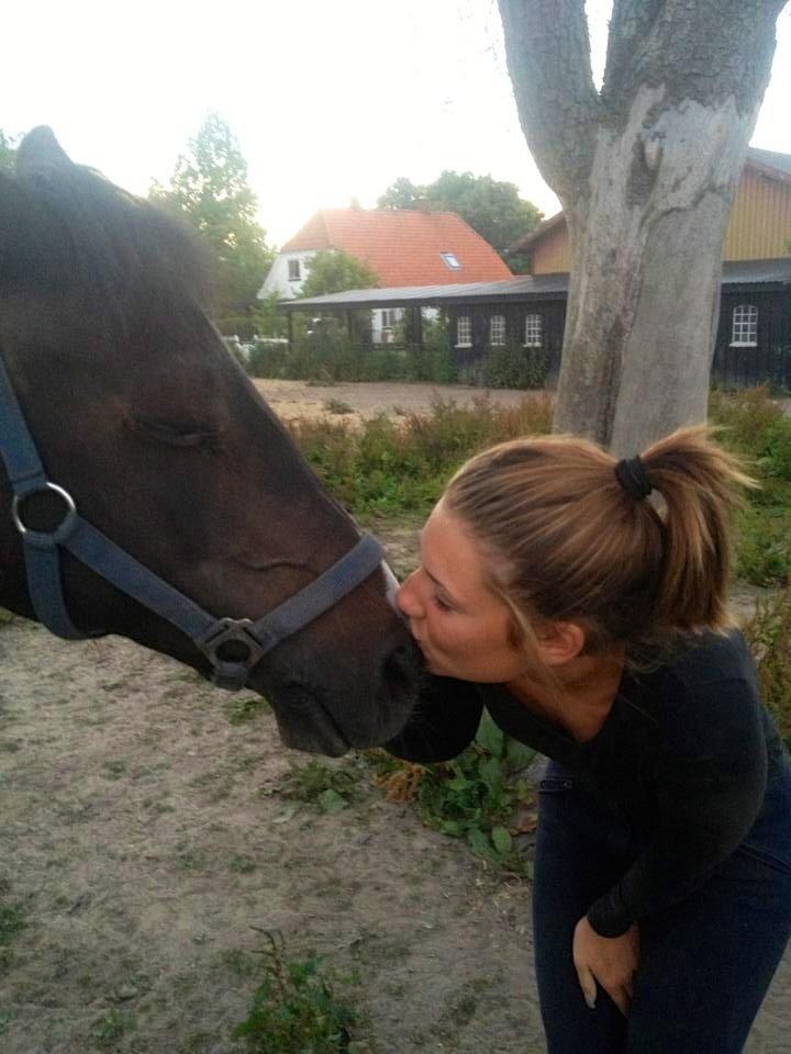 Anden særlig race Lundsbjergårds Indi billede 8