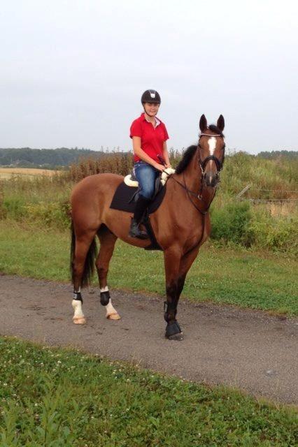 Dansk Varmblod Birkmosegårds Lancelot - Lance er ude at se sine nye omgivelser for første gang med mig på ryggen :-) billede 3