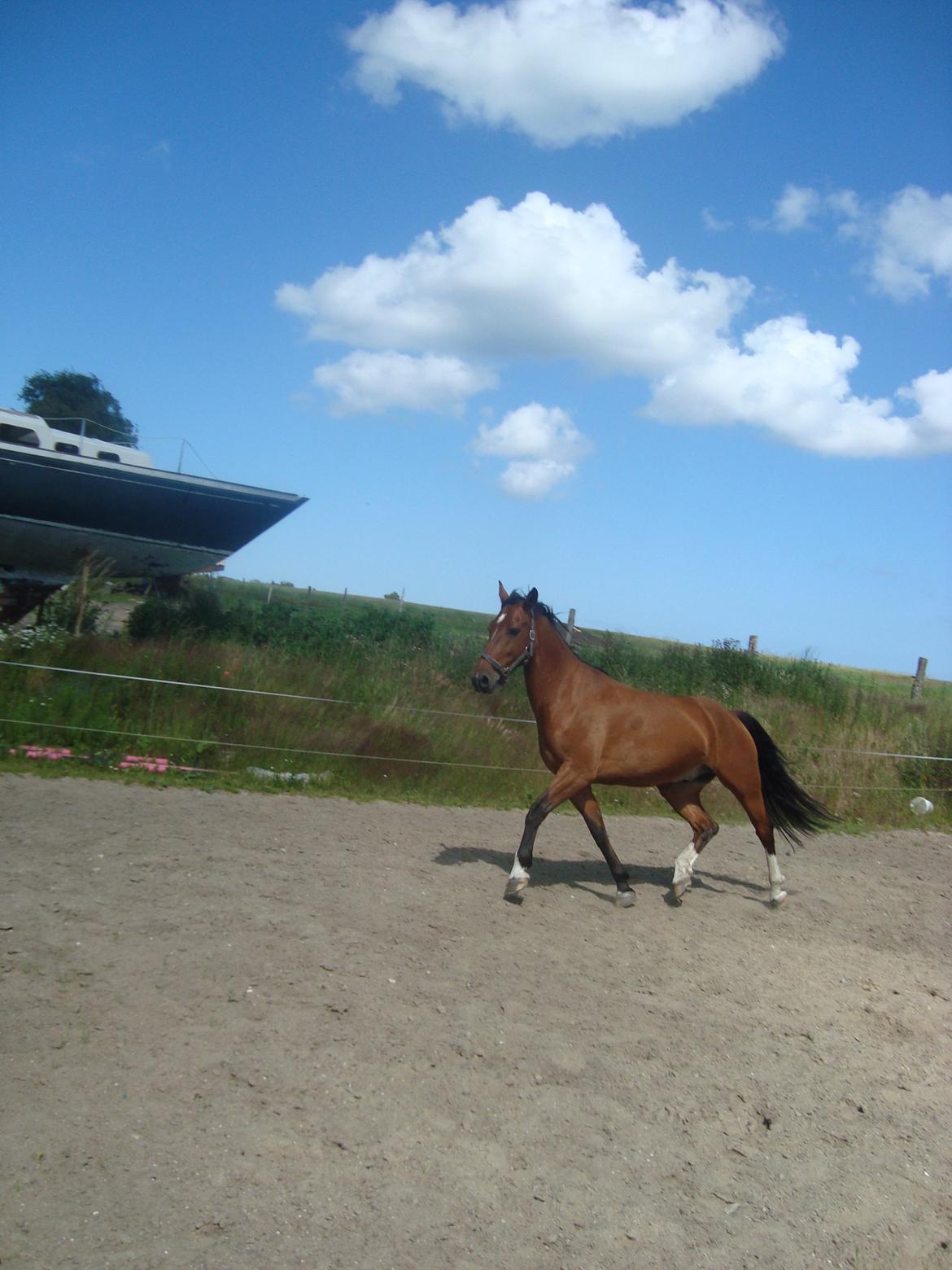 Oldenborg Neo Vollerupgård billede 3