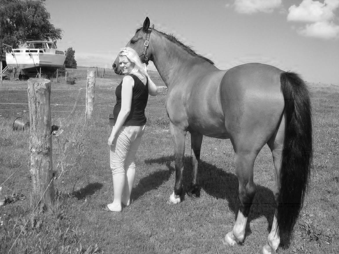 Oldenborg Neo Vollerupgård billede 5