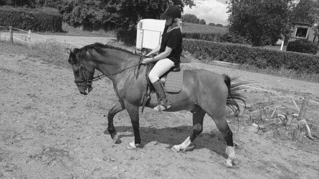 Oldenborg Neo Vollerupgård billede 8