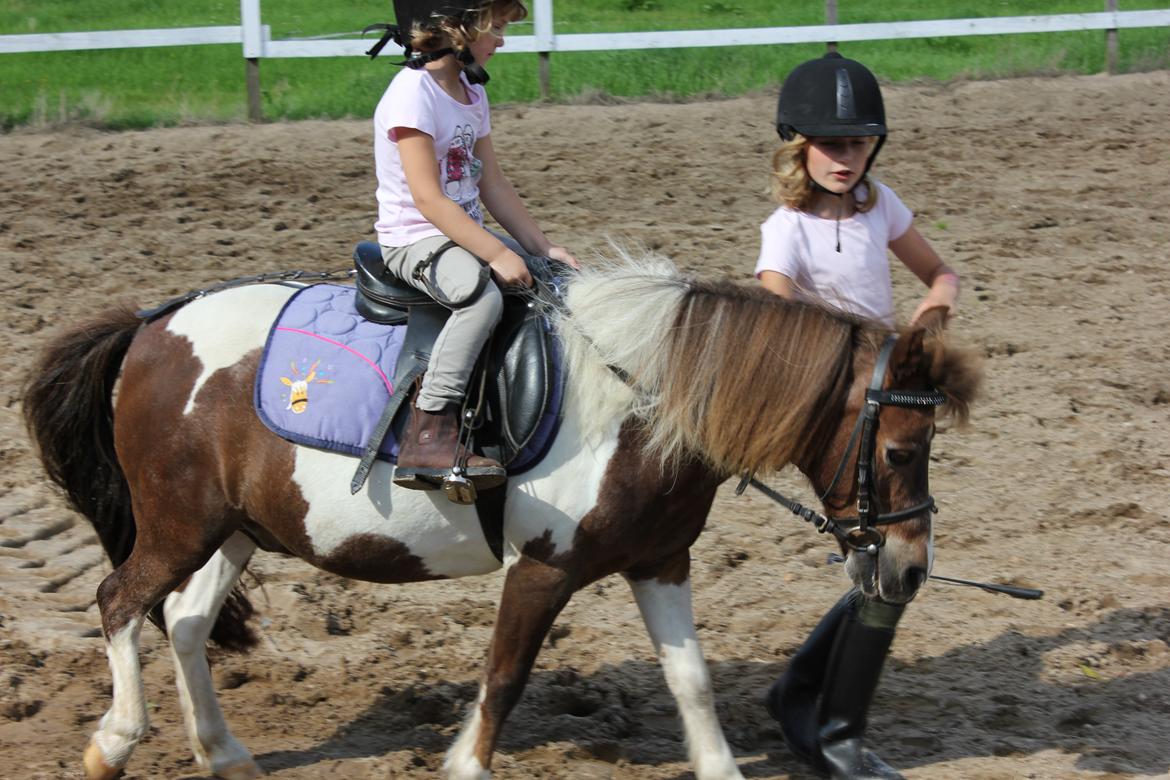 Anden særlig race lilleper - Min kusine ude at ride billede 1