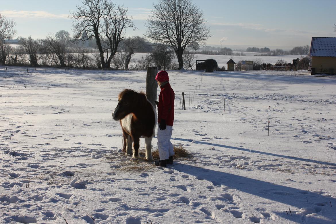 Anden særlig race lilleper - sne og vanilije is billede 2