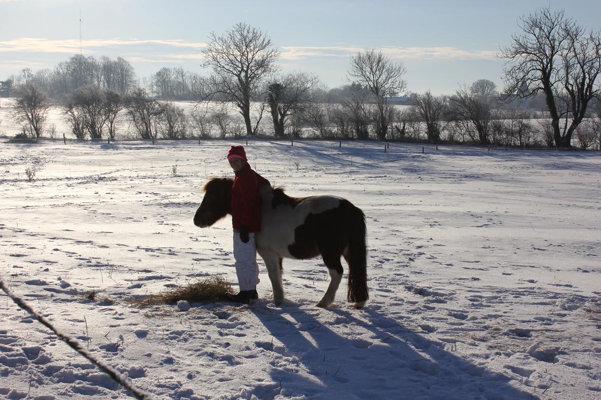 Anden særlig race lilleper billede 3