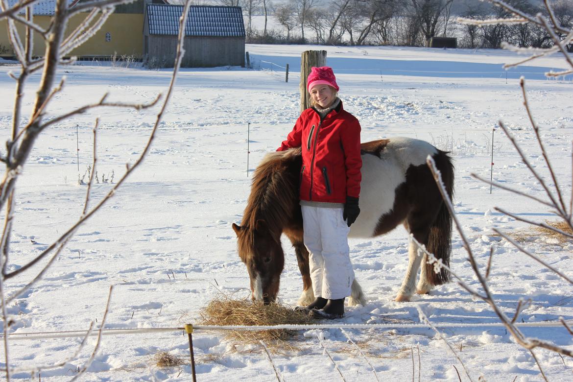 Anden særlig race lilleper billede 4