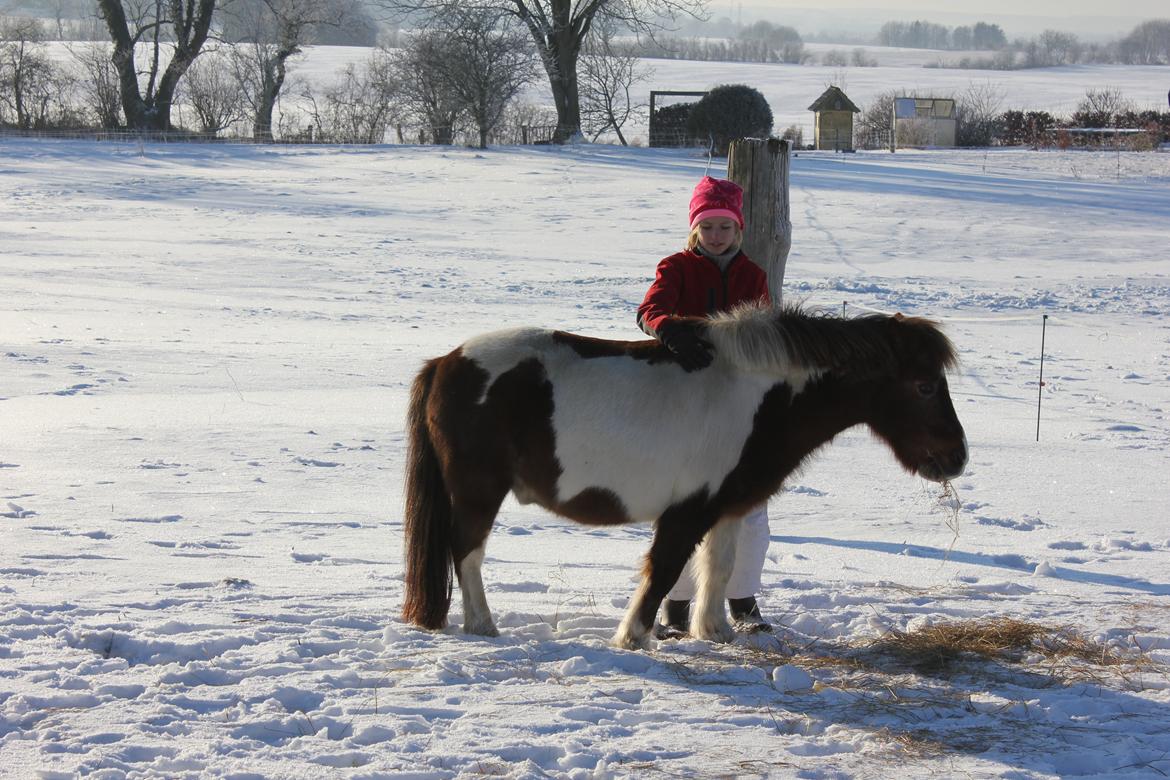 Anden særlig race lilleper billede 5