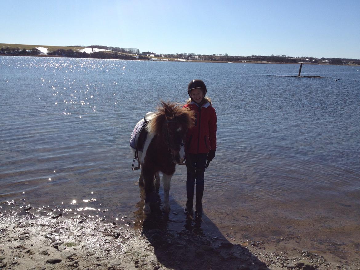 Anden særlig race lilleper billede 6