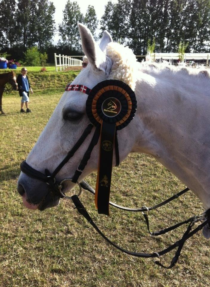 Anden særlig race Casmihr - Til D 4 horseshow 2013 - 1 plads <3 billede 6