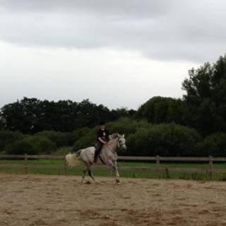 Holstener QUORP'S CADEAU billede 12