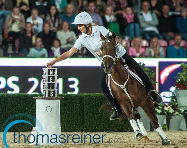 New Forest Jordy - Show til EM i Herning billede 3