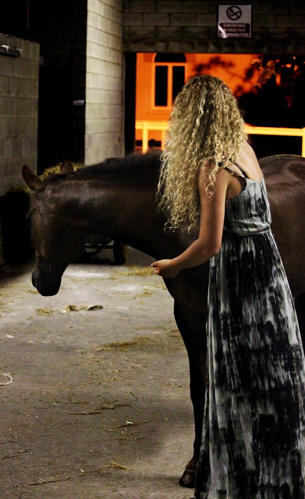 New Forest Jordy billede 14