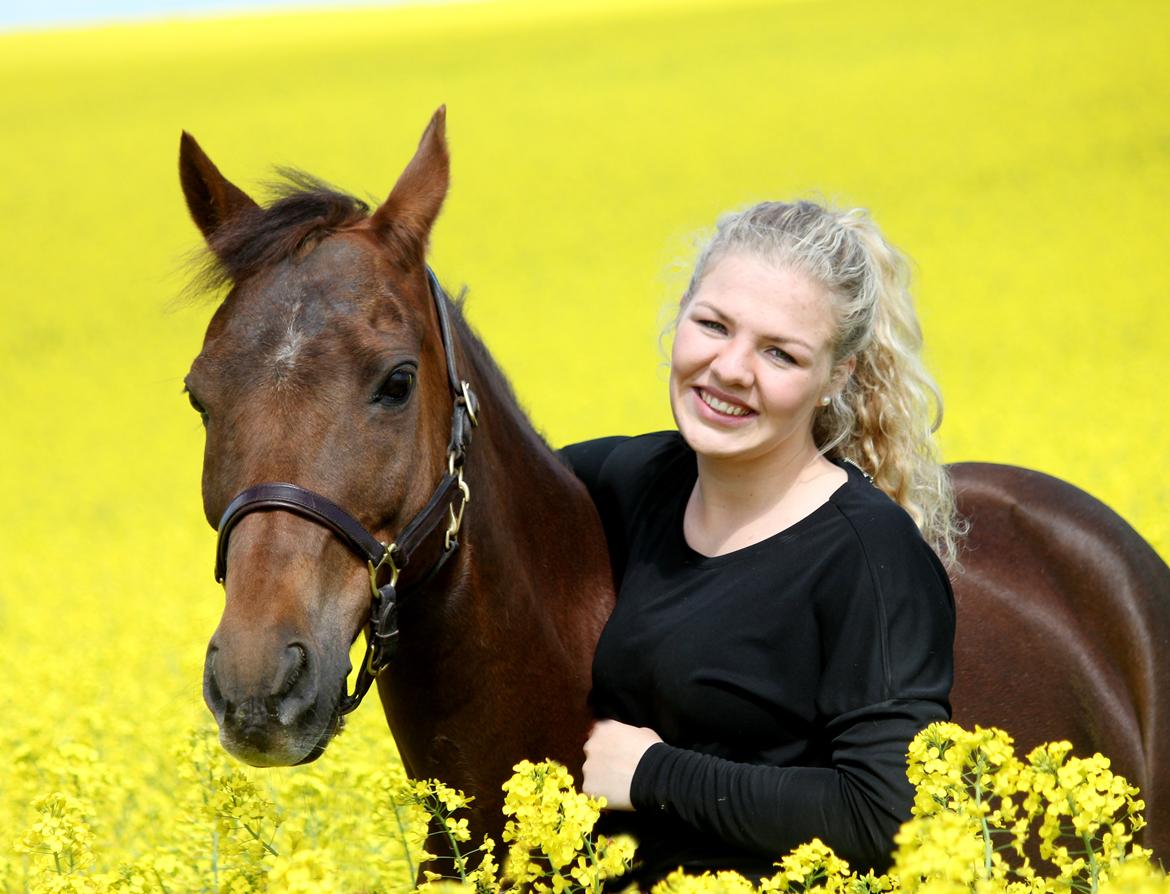 New Forest Jordy billede 17