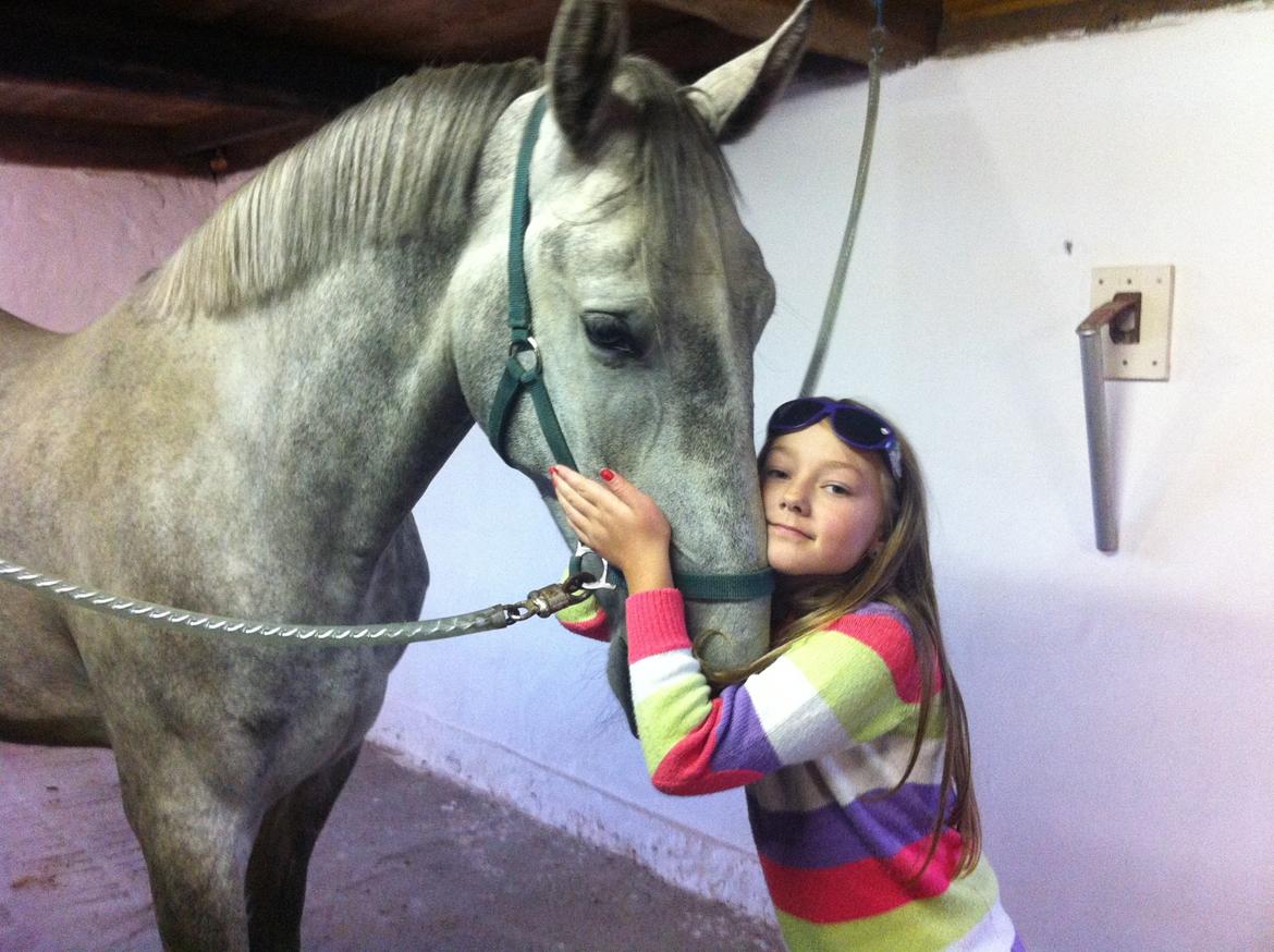 Anden særlig race Neron R.I.P billede 12