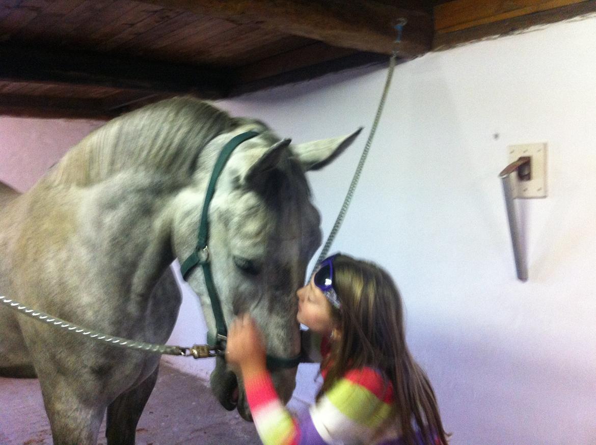 Anden særlig race Neron R.I.P billede 13