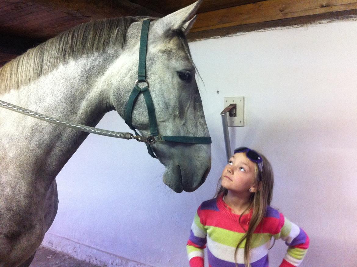 Anden særlig race Neron R.I.P billede 14