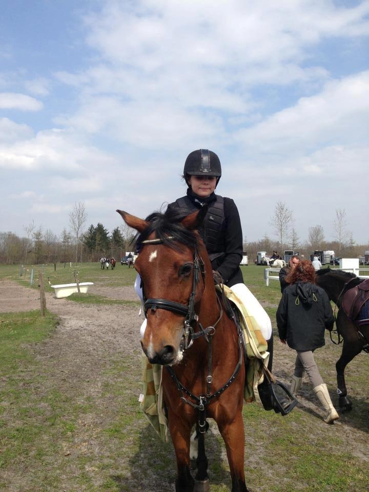 Tysk Sportspony P-TIM - Tim efter 2 gode ture til vores kun andet stævne! :-) billede 24