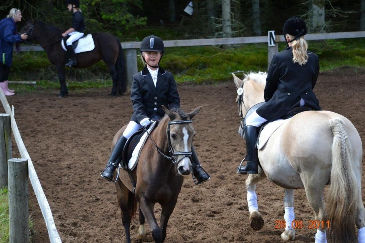 DSP Tovdal´s Anais Anais - Trine & Nisse til stævne sammen :) billede 19