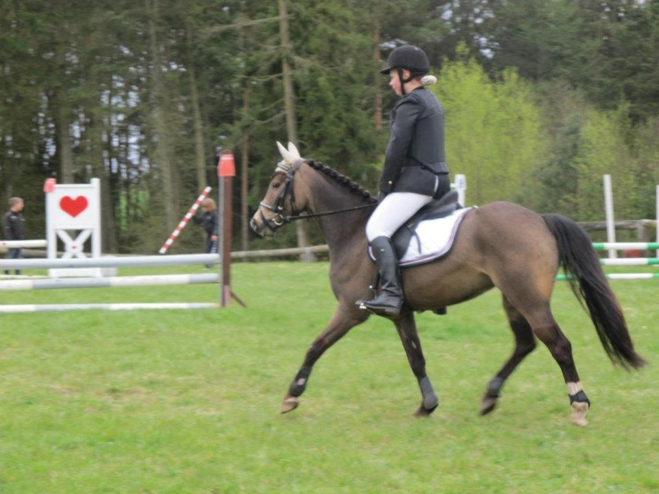 DSP Tovdal´s Anais Anais - Flotte pony <3 billede 5