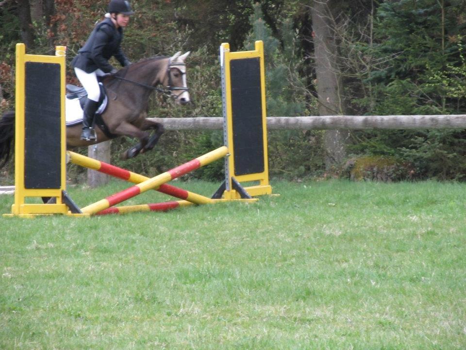 DSP Tovdal´s Anais Anais - Spring!! :D billede 9