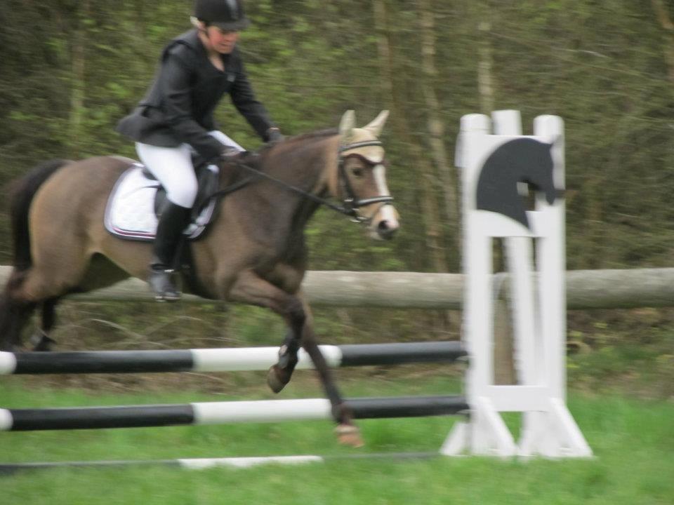 DSP Tovdal´s Anais Anais - Du var den bedste springpony! <3 billede 12
