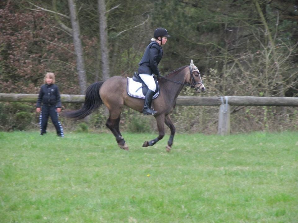 DSP Tovdal´s Anais Anais - Fuld galop <3 billede 14