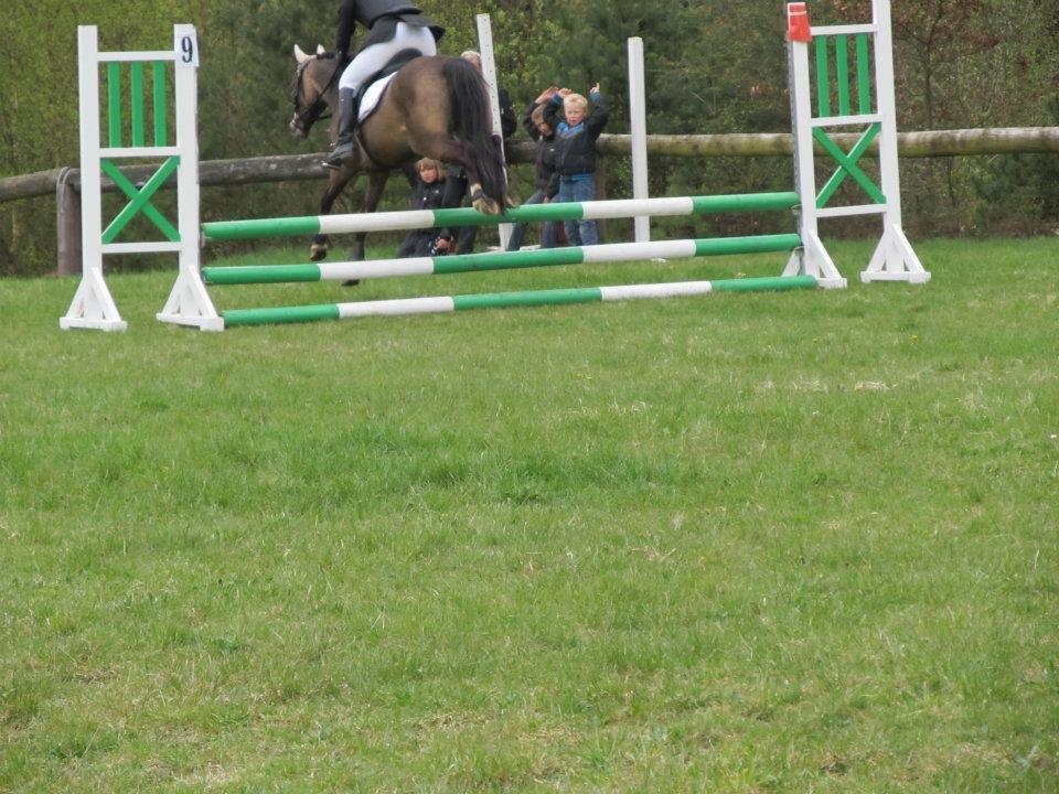 DSP Tovdal´s Anais Anais - Hoppe hoppe ;) billede 17