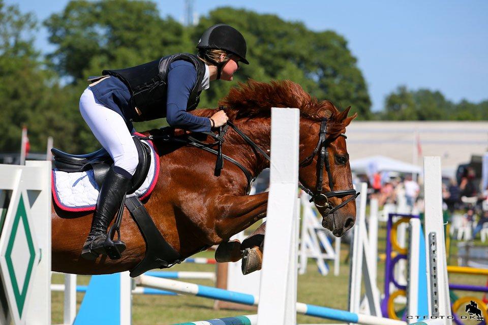 DSP Flying Rex - 1) D4 horseshow 2013, Guld Tour-kvalifikation. FOTO: CT-foto billede 1