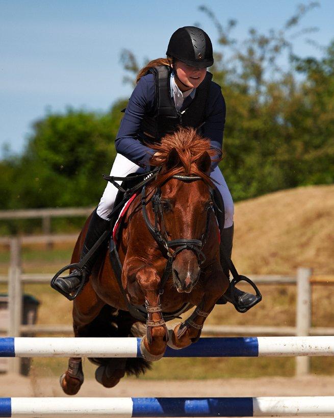 DSP Flying Rex - 3) Karlslunde OPEN 2013, MB**. FOTO: Animal-print.dk billede 3