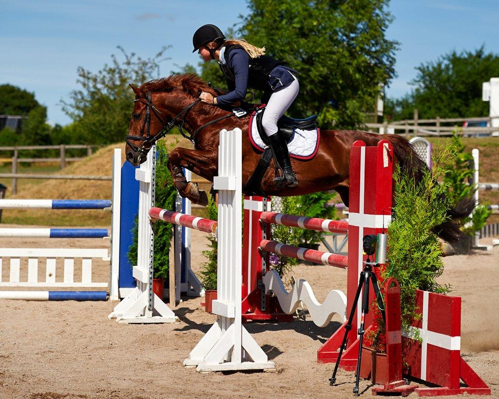 DSP Flying Rex - 12) Karlslunde OPEN 2013, MB**. FOTO: Animal-print.dk billede 12