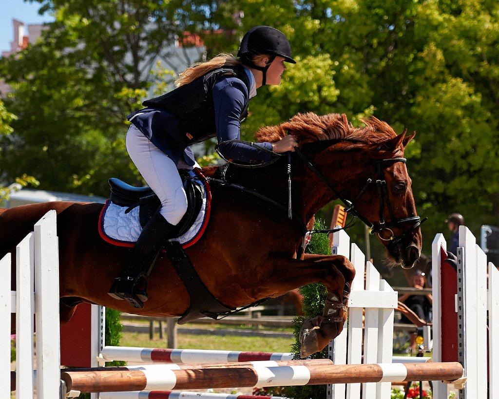 DSP Flying Rex - 18) Dan Frugt Cup ved Karlslunde OPEN 2013. FOTO: Animal-print.dk billede 18