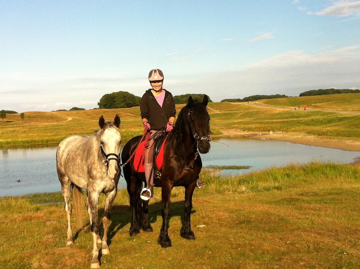 Frieser Zorro billede 18