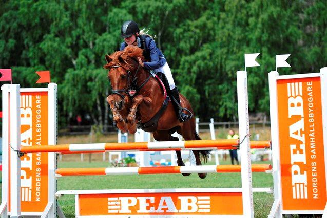 DSP Flying Rex - 15) Svensk Pony Derby 2013, 2. kvalifikation. FOTO: Anna Johannesson billede 15