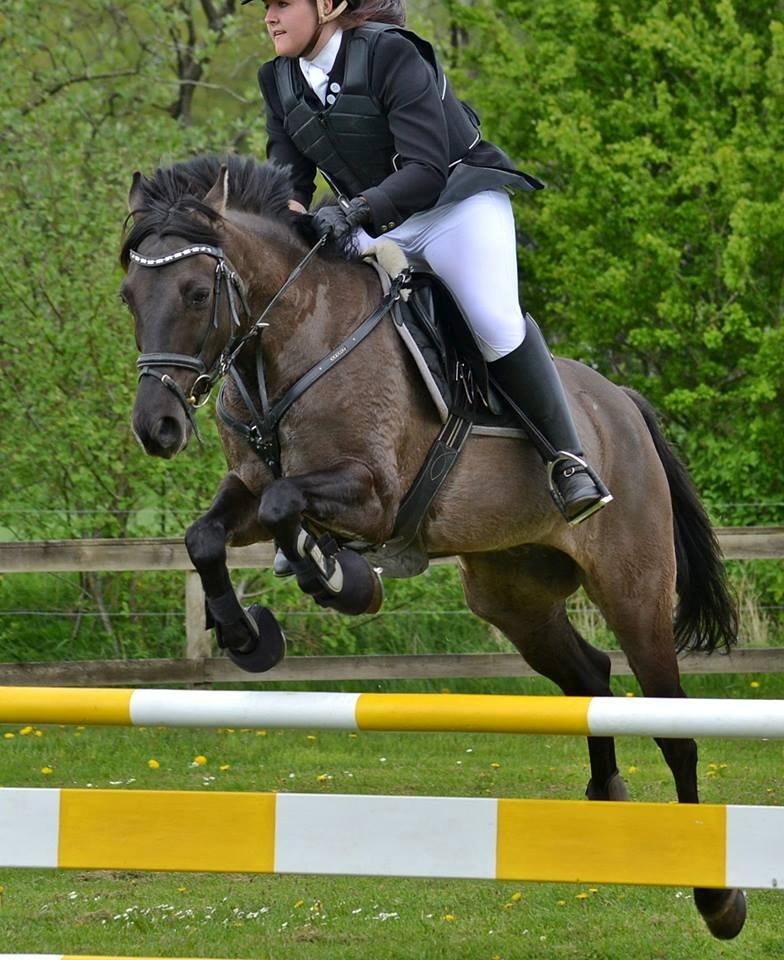 Anden særlig race Pietje - - Taget af Nikoline Carlsen billede 32