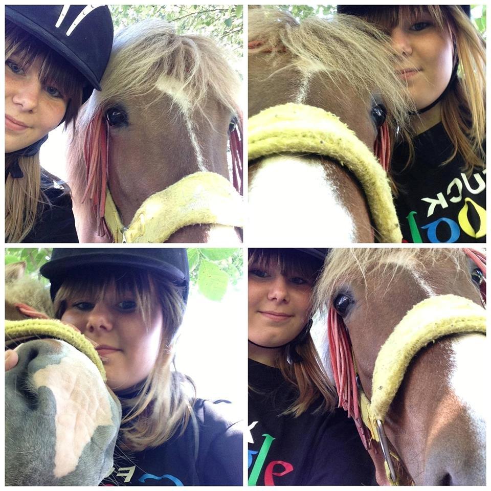 Islænder Âla billede 2